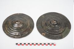 Foto von Bronzephalere (NHMW-PRAE-025563)